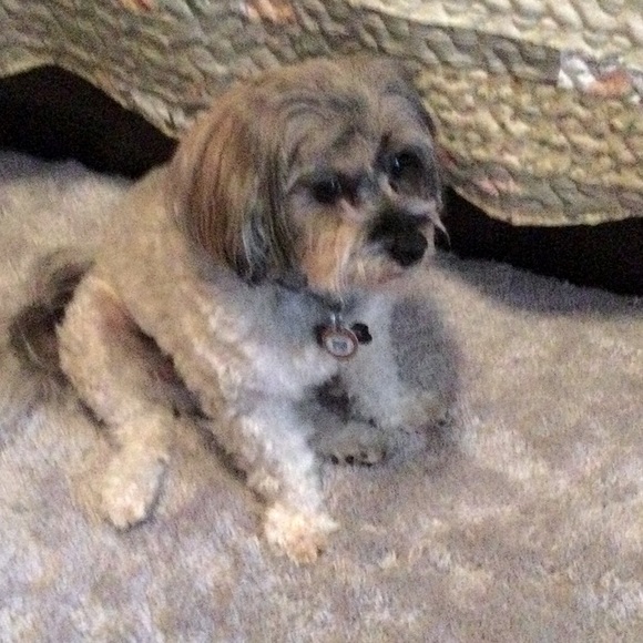 LOUIE SAYS LOOK THROUGH THE CLOSET.LOTS OF GOODIES. - Picture 2 of 3